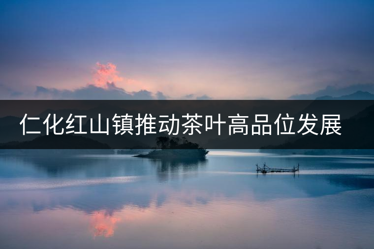 仁化紅山鎮(zhèn)推動(dòng)茶葉高品位發(fā)展紀(jì)實(shí)