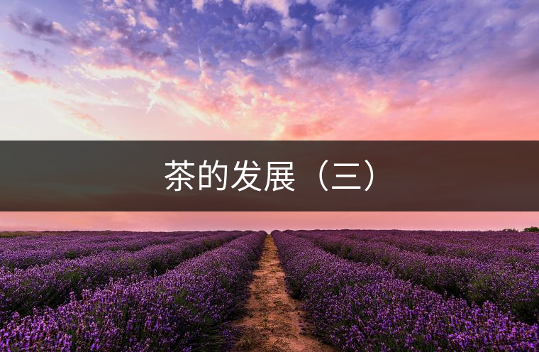 茶的發(fā)展（三）