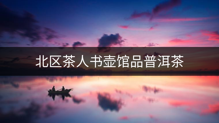 北區(qū)茶人書壺館品普洱茶 北區(qū)茶人書壺館品普洱茶