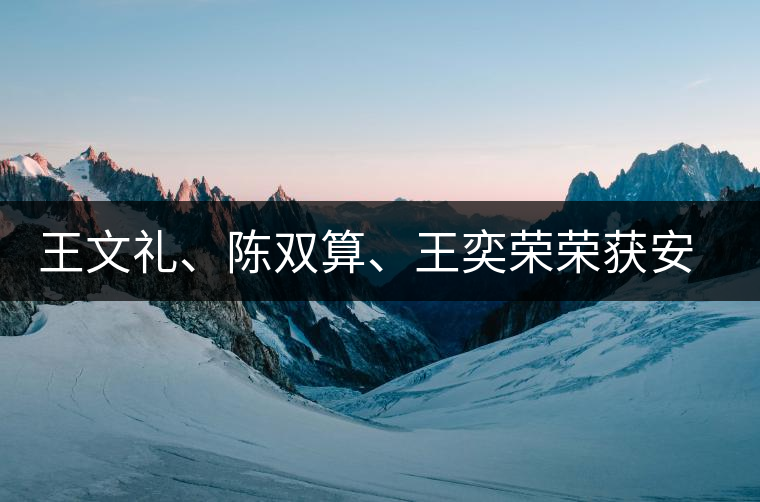 王文禮、陳雙算、王奕榮榮獲安溪茶界三杰