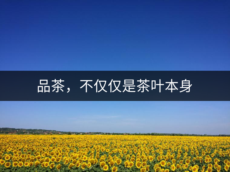 品茶，不僅僅是茶葉本身