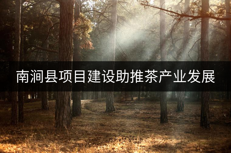 南澗縣項(xiàng)目建設(shè)助推茶產(chǎn)業(yè)發(fā)展 南澗縣項(xiàng)目建設(shè)助推茶產(chǎn)業(yè)發(fā)展