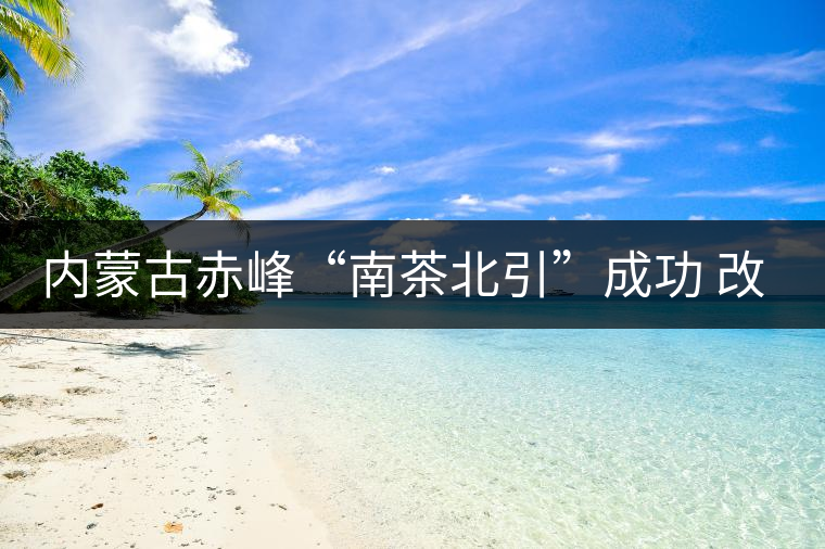 內(nèi)蒙古赤峰“南茶北引”成功 改寫(xiě)本地?zé)o茶歷史 內(nèi)蒙古赤峰“南茶北引”成功 改寫(xiě)本地?zé)o茶歷史