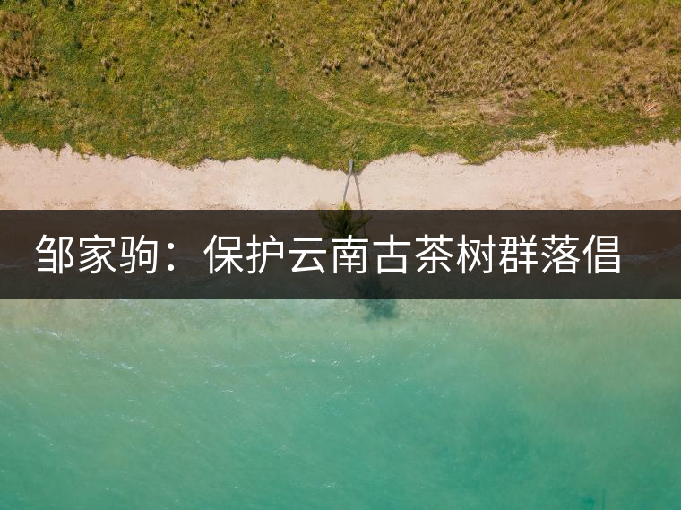 鄒家駒：保護(hù)云南古茶樹(shù)群落倡議書(shū)