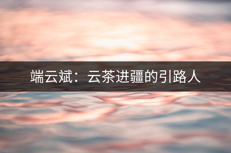 端云斌：云茶進疆的引路人