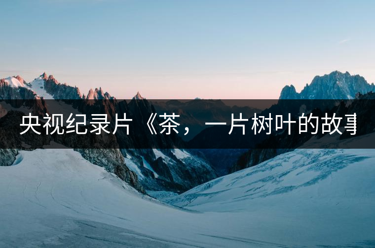 央視紀錄片《茶,一片樹葉的故事》紀錄片 昨晚開播 央視紀錄片《茶,一片樹葉的故事》紀錄片 昨晚開播