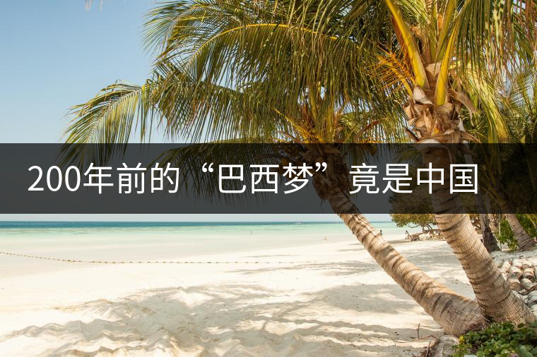 200年前的“巴西夢”竟是中國茶 200年前的“巴西夢”竟是中國茶