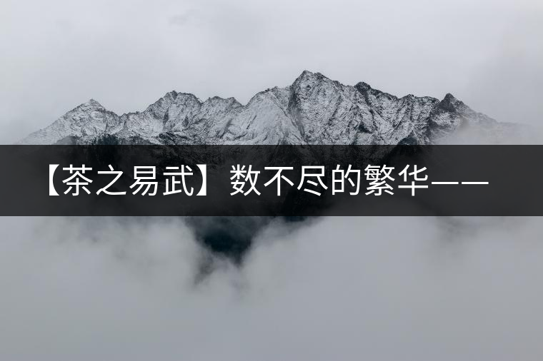 【茶之易武】數不盡的繁華——易武茶的步履 【茶之易武】數不盡的繁華——易武茶的步履