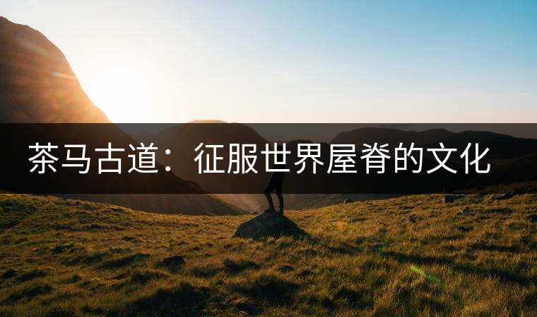 茶馬古道：征服世界屋脊的文化之脈