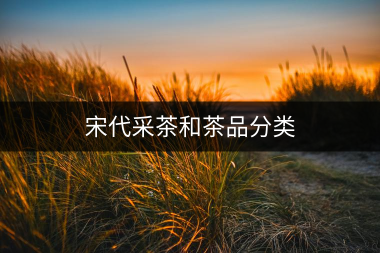 宋代采茶和茶品分類 宋代采茶和茶品分類