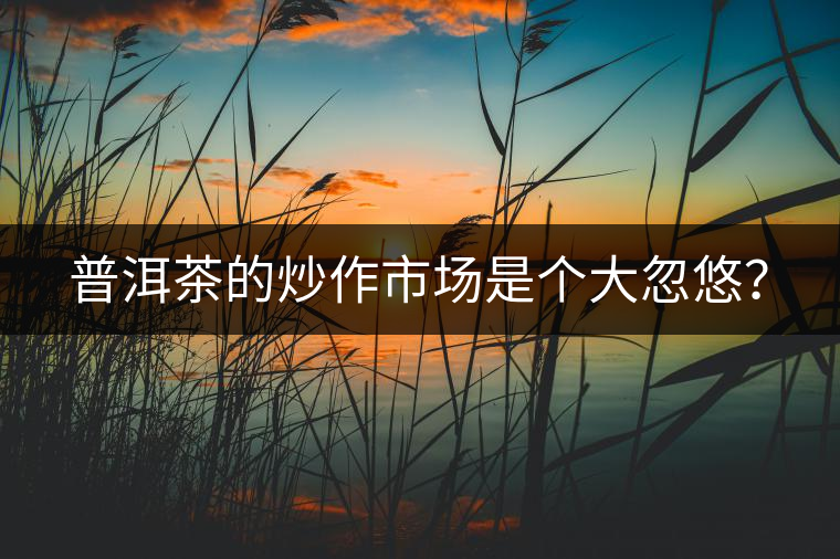 普洱茶的炒作市場是個大忽悠？