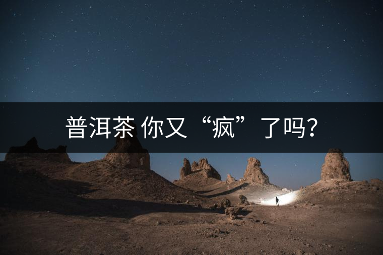 普洱茶 你又“瘋”了嗎？