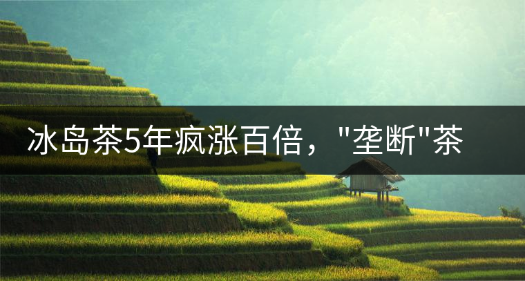 冰島茶5年瘋漲百倍，