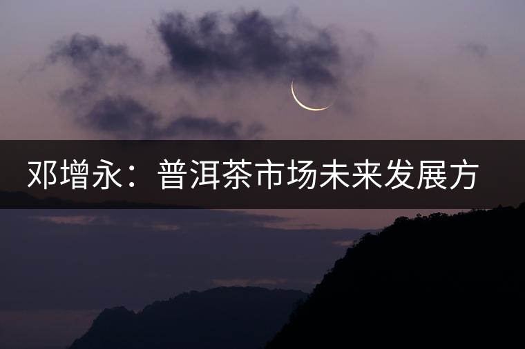 鄧增永：普洱茶市場(chǎng)未來發(fā)展方向展望