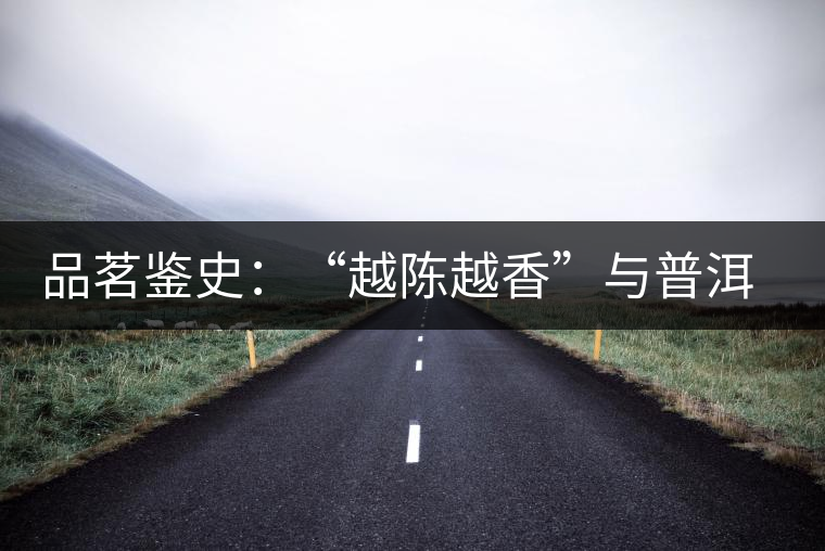 品茗鑒史：“越陳越香”與普洱茶的革命