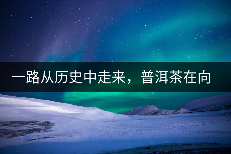 一路從歷史中走來，普洱茶在向我們訴說著什么？