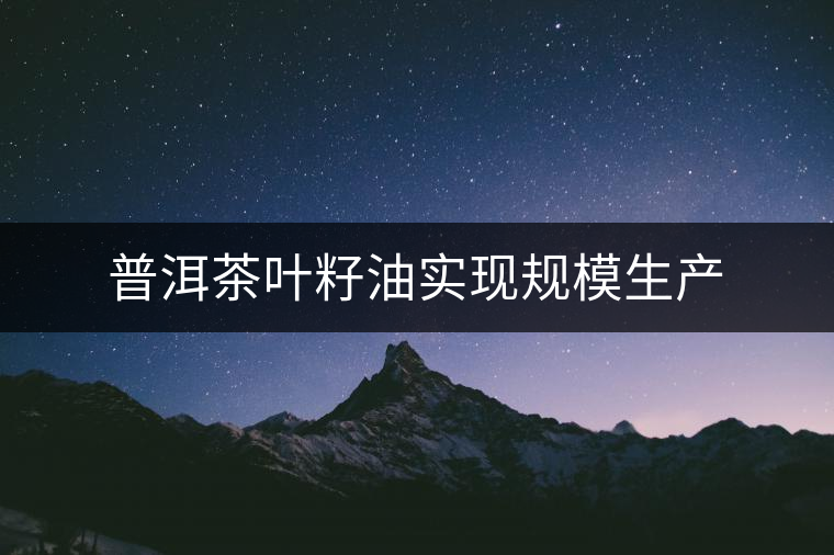 普洱茶葉籽油實(shí)現(xiàn)規(guī)模生產(chǎn)