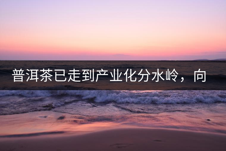 普洱茶已走到產(chǎn)業(yè)化分水嶺，向左還是向右？