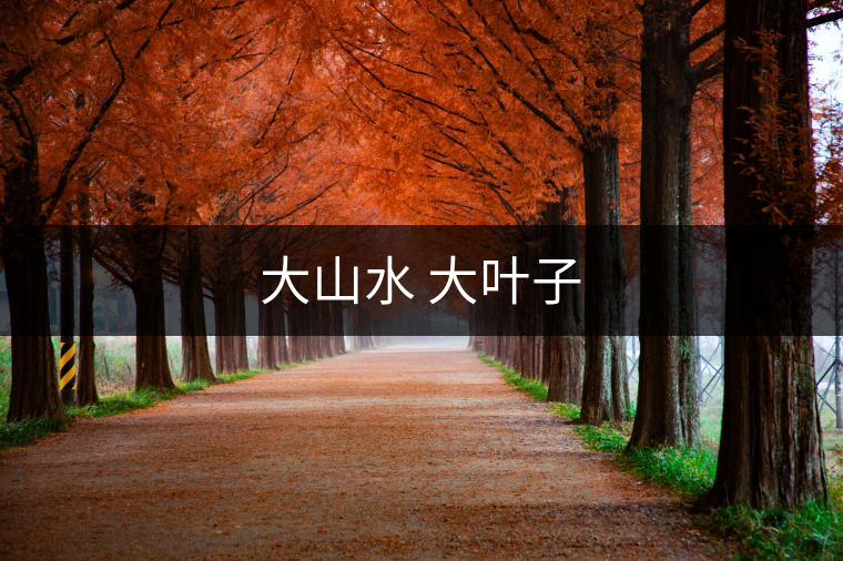 大山水 大葉子