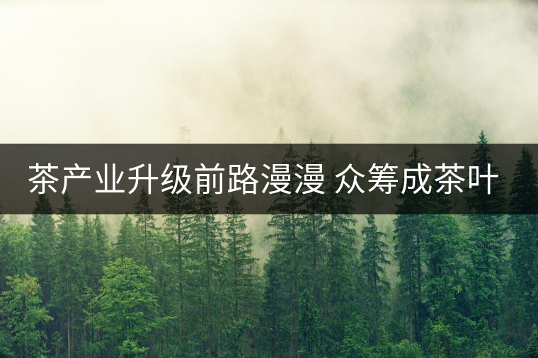 茶產(chǎn)業(yè)升級(jí)前路漫漫 眾籌成茶葉營(yíng)銷新寵 茶產(chǎn)業(yè)升級(jí)前路漫漫 眾籌成茶葉營(yíng)銷新寵