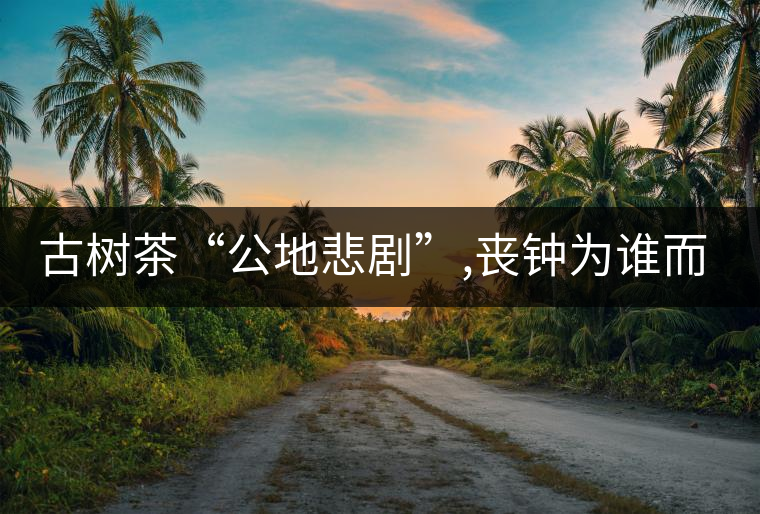 古樹茶“公地悲劇”,喪鐘為誰而鳴！