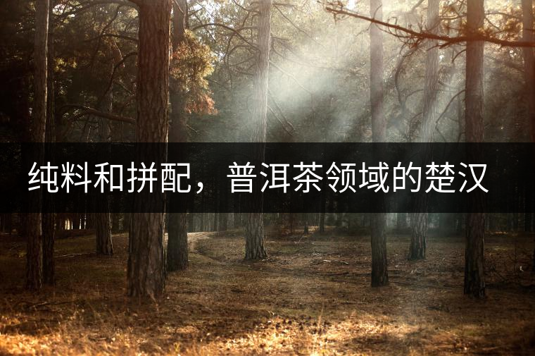 純料和拼配，普洱茶領(lǐng)域的楚漢之爭