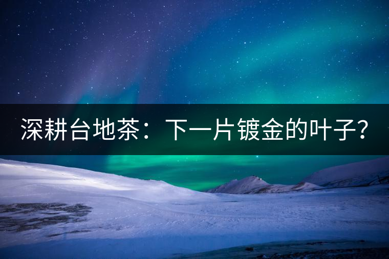 深耕臺地茶：下一片鍍金的葉子？