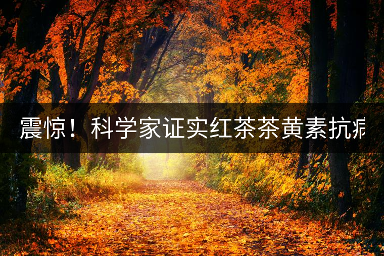 震驚！科學(xué)家證實(shí)紅茶茶黃素抗病毒新功能！