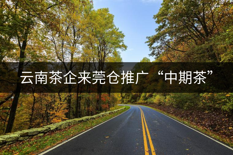云南茶企來莞?jìng)}推廣“中期茶”