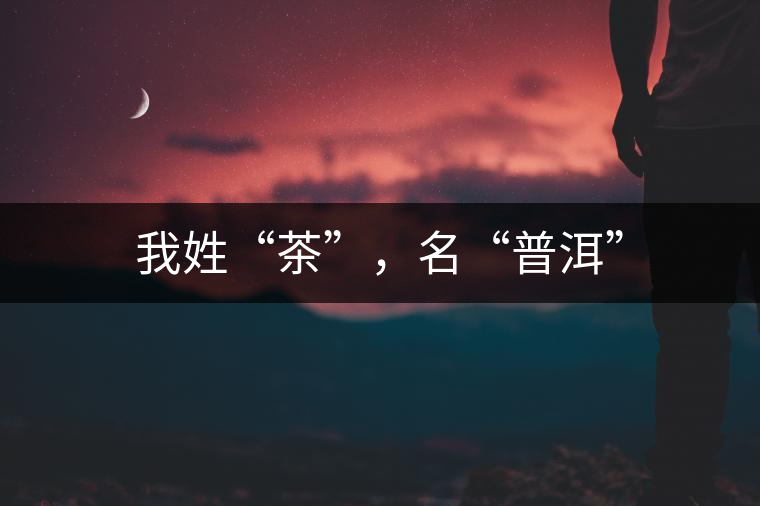 我姓“茶”，名“普洱”