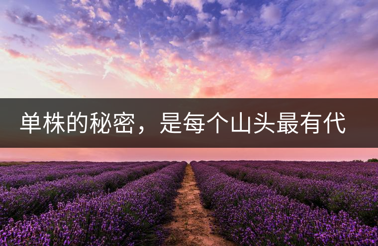 單株的秘密，是每個(gè)山頭最有代表性的味道？