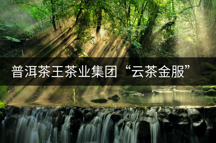 普洱茶王茶業(yè)集團(tuán)“云茶金服”項(xiàng)目發(fā)布會(huì)北京舉行