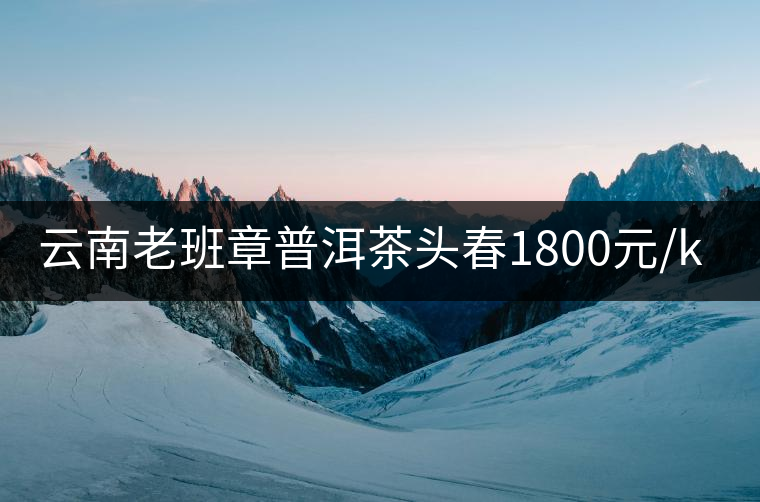 云南老班章普洱茶頭春1800元/kg 云南老班章普洱茶頭春1800元/kg