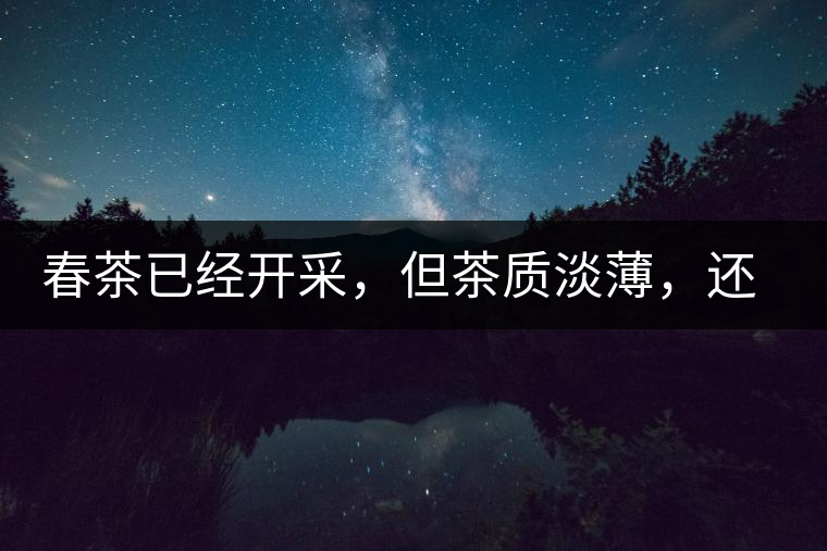 春茶已經(jīng)開采，但茶質(zhì)淡薄，還需一兩周