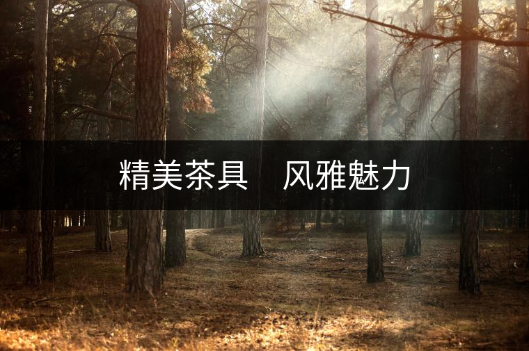 精美茶具　風(fēng)雅魅力