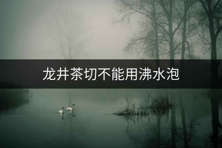 龍井茶切不能用沸水泡 龍井茶切不能用沸水泡