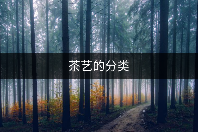 茶藝的分類 茶藝的分類