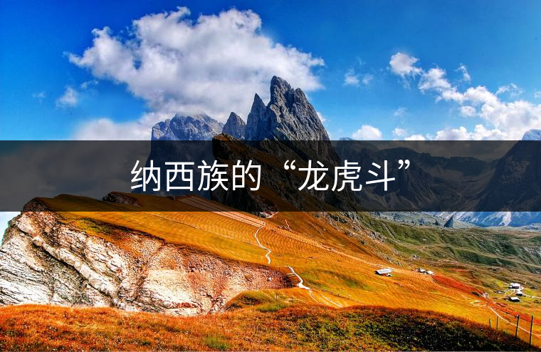 納西族的“龍虎斗” 納西族的“龍虎斗”