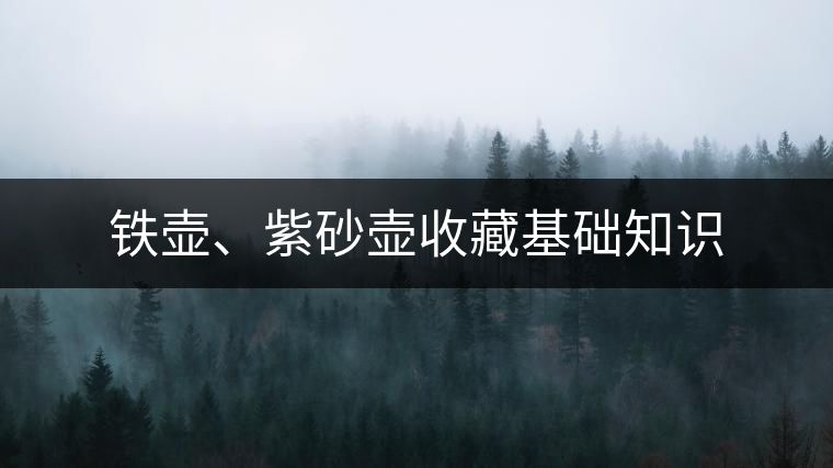鐵壺、紫砂壺收藏基礎(chǔ)知識