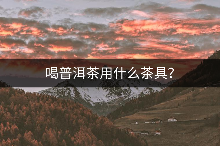 喝普洱茶用什么茶具？