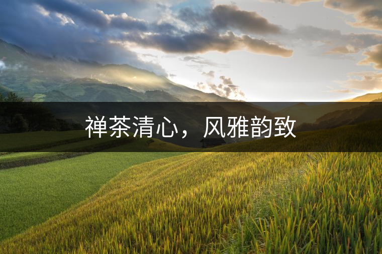 禪茶清心，風(fēng)雅韻致
