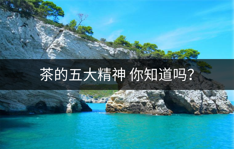 茶的五大精神 你知道嗎? 茶的五大精神 你知道嗎?