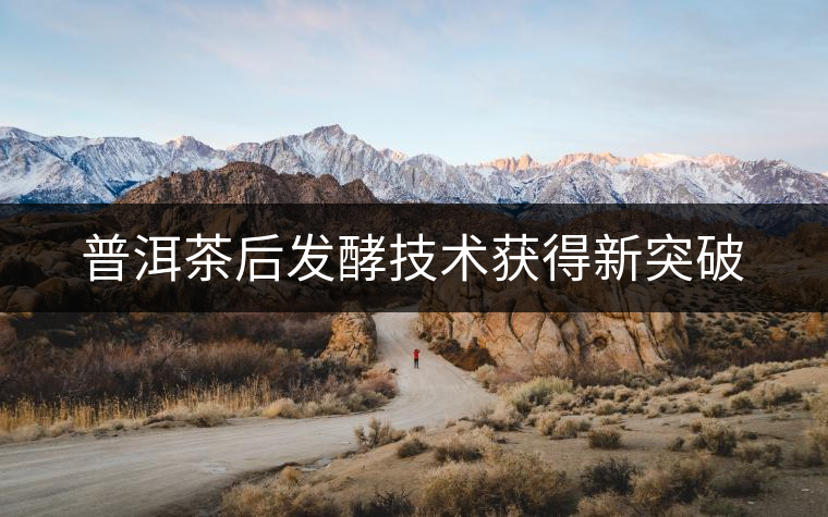 普洱茶后發(fā)酵技術(shù)獲得新突破 普洱茶后發(fā)酵技術(shù)獲得新突破