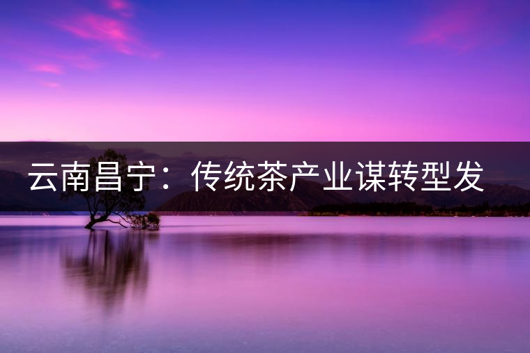 云南昌寧:傳統(tǒng)茶產(chǎn)業(yè)謀轉型發(fā)展 云南昌寧:傳統(tǒng)茶產(chǎn)業(yè)謀轉型發(fā)展