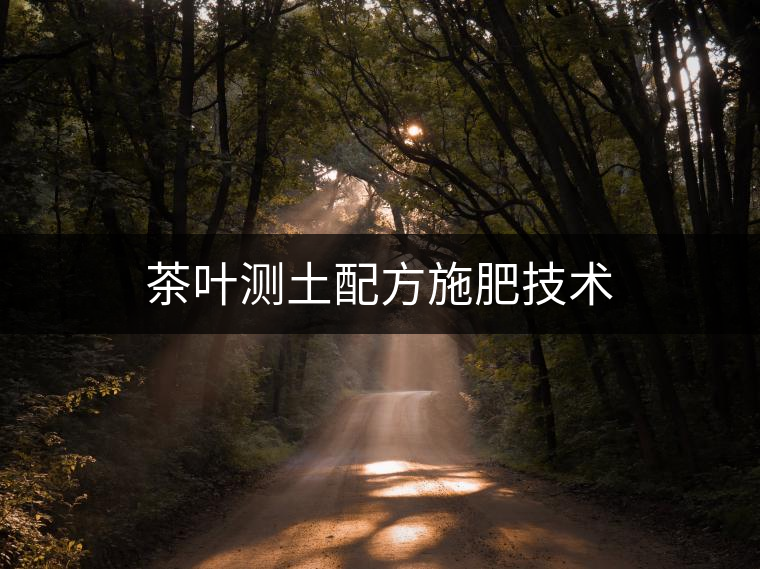 茶葉測(cè)土配方施肥技術(shù)
