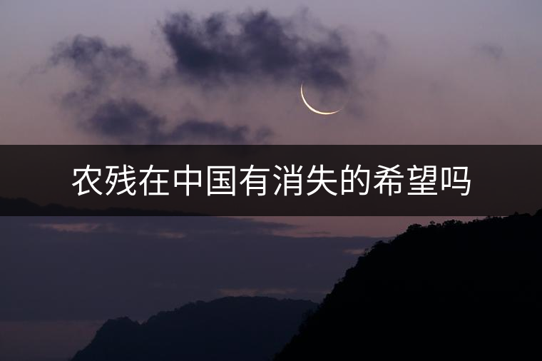 農(nóng)殘?jiān)谥袊邢У南M麊? alt=