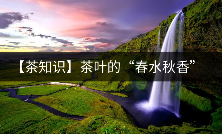 【茶知識(shí)】茶葉的“春水秋香”你知道嗎？