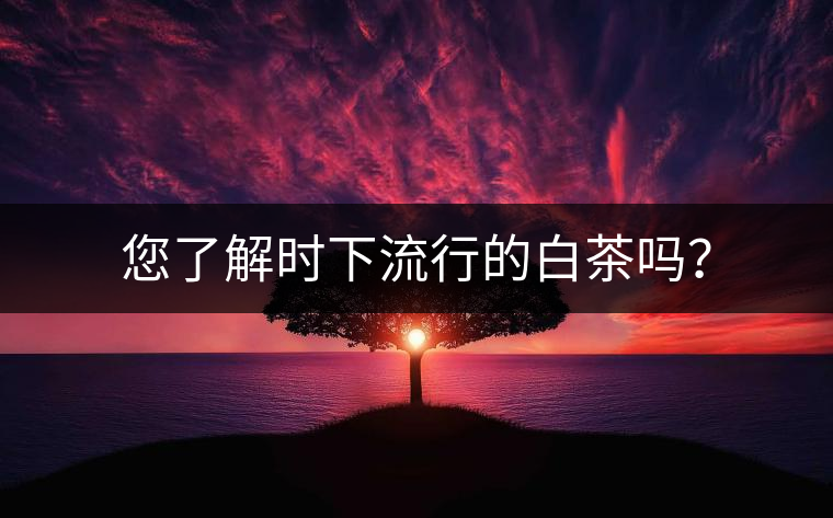 您了解時下流行的白茶嗎？