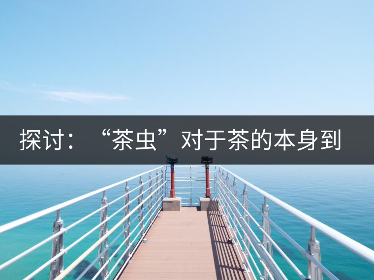 探討：“茶蟲”對于茶的本身到底是好是壞？