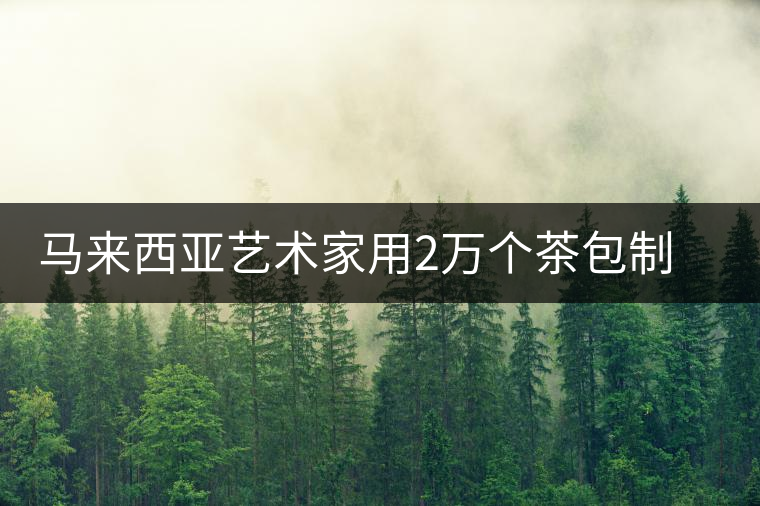 馬來西亞藝術(shù)家用2萬個茶包制作出“送茶男子”畫像 馬來西亞藝術(shù)家用2萬個茶包制作出“送茶男子”畫像